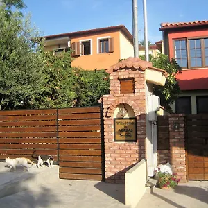 3* Pensiune Arabas